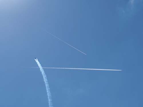 flight three contrails at daytime animal