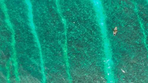 teal top view of white boat on body of water during daytime maldives
