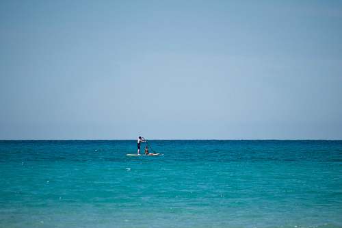 transportation topless man riding paddle board vehicle