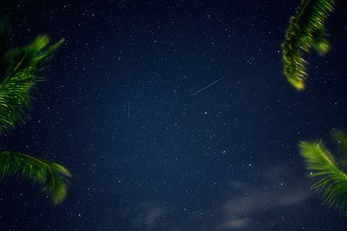 nature view of starry sky night