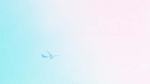 airplane white and blue star print transportation