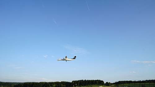 adventure white commercial plane flying over trees during daytime leisure activities