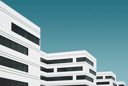 urban white concrete building illustration building