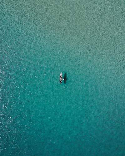 australia white paddle boat on body of water forster
