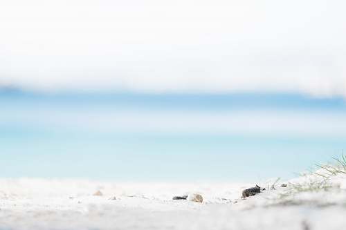 beach white shore under sunny sky sand