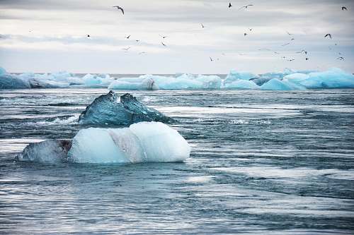 glacier iceberg on water iceland