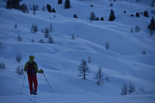 person man walks with ski poles at snowfield human