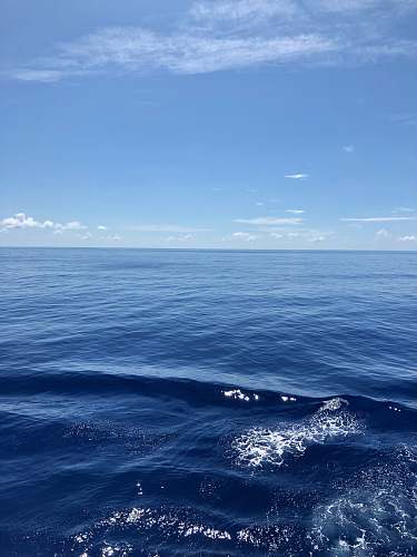 sea sea under clear blue sky during daytime outdoors