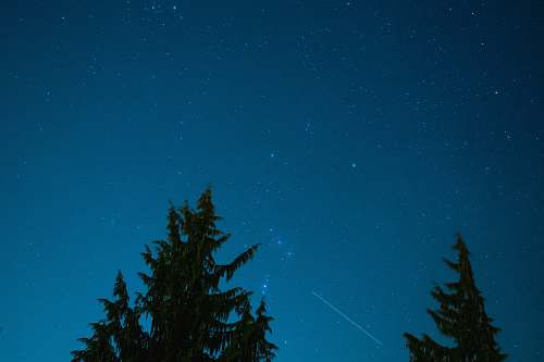 outdoors green trees under starry night sky astronomy