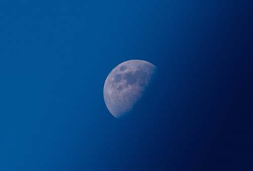 moon photo of half-moon space