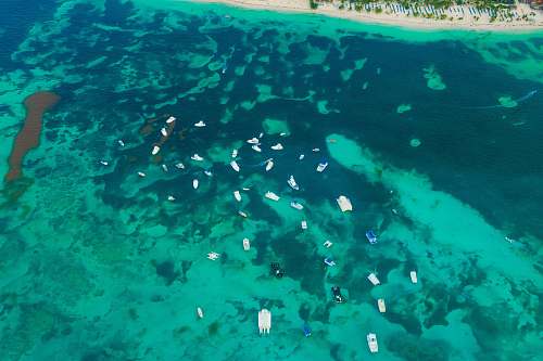 water aerial photography of boats on body of water reef