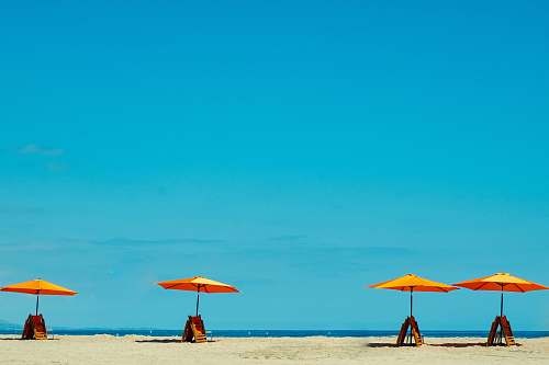 blue four yellow-and-orange parasols nature