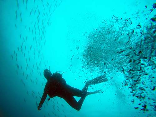 water black diver photo diving
