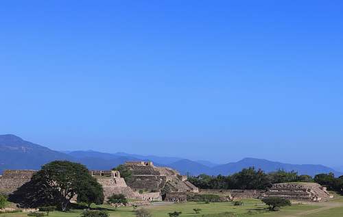 nature houses and trees under blue sky field