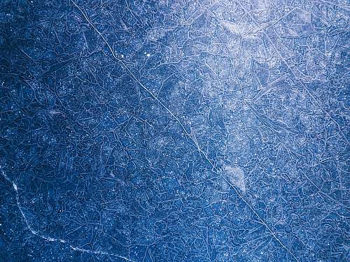 blue black and white floral textile ice