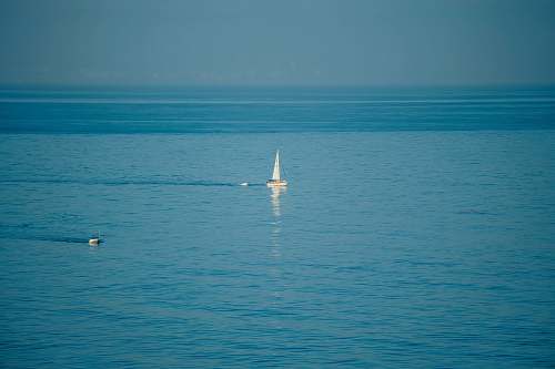 vehicle white sailboat on body of water across horizon vessel