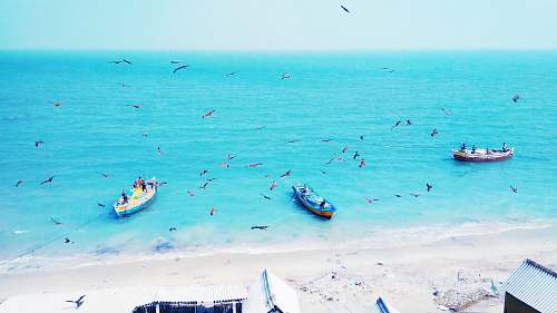 transportation boats on calm water during daytime boat