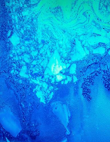 blue Blue and green colors contrasting with each other. texture