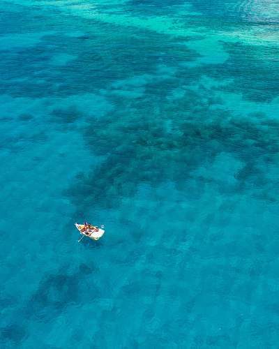 blue boat sailing on calm body of water nature