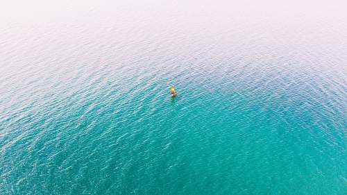 ocean body of water nature