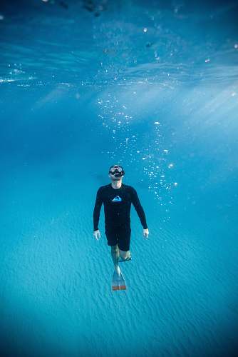 diving man diving under water during daytime human