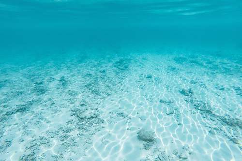 blue underwater photography of clear body of water nature
