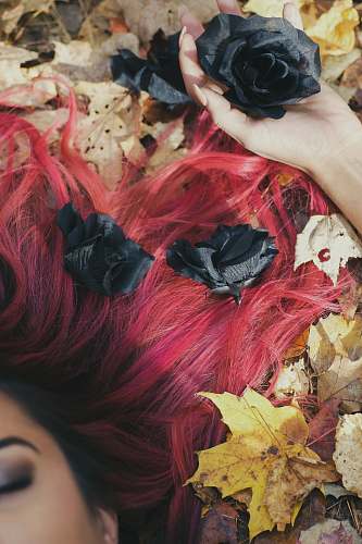 bird black and red hair wig dye