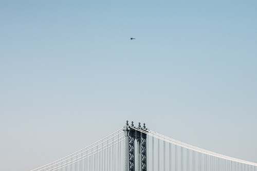 animal bridge at daytime flying