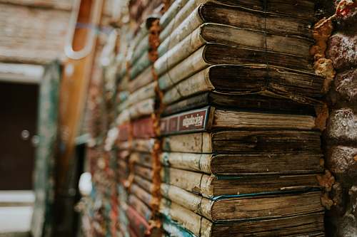 library  bookshop