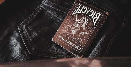 novel Bicycle playing card grey