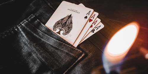 animal playing cards on the pocket pet