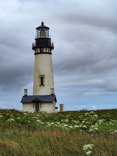 architecture white and black lighthouse beside grass field tower