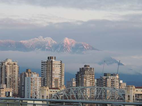 architecture white and gray high rise buildings bridge