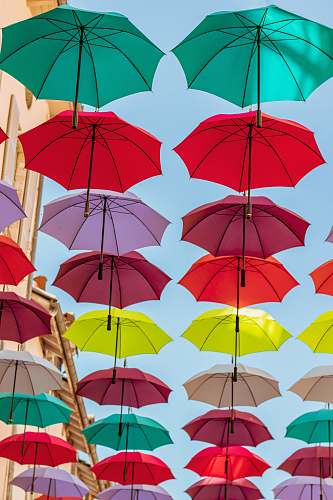 umbrella assorted-color umbrellas woodland