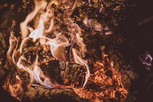 flame firewood burning burning