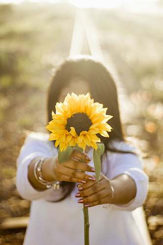 woman woman holding up sunflower outdoor during daytime yellow