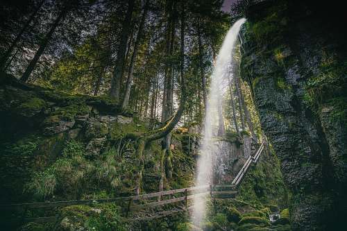 waterfall waterfall on forest water