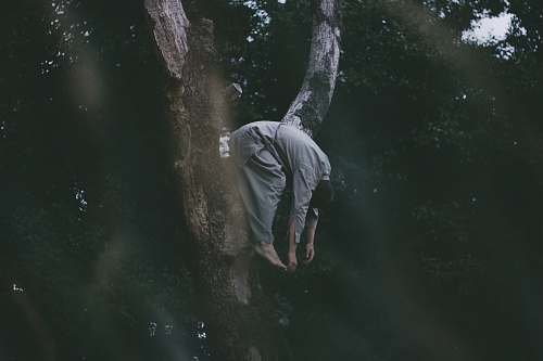 person  human