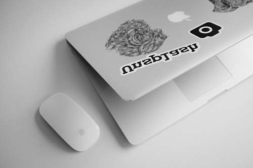 black-and-white silver MacBook and Apple Magic Mouse mouse