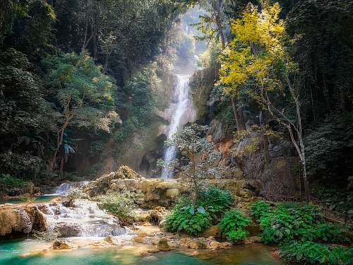 water waterfalls and trees nature