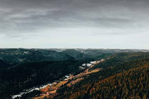 outdoors aerial view of mountain tree