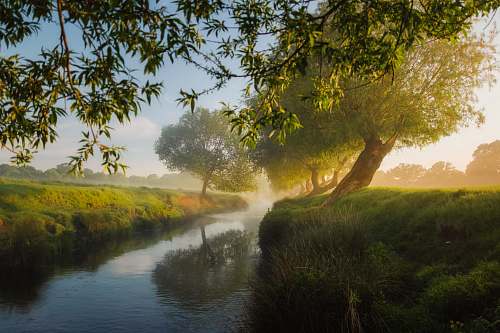 road river beside trees and grass field dirt road