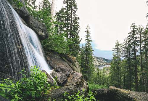 water waterfalls near trees waterfall