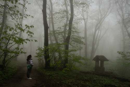 weather woman in white jacket standing in the forest person