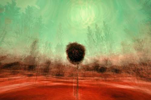 nature black tree abstract painting tree