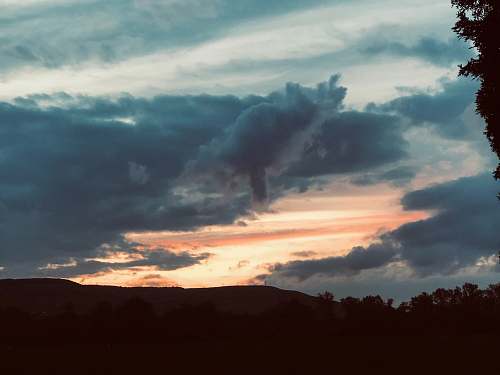 nature silhouette of trees under gray sky weather