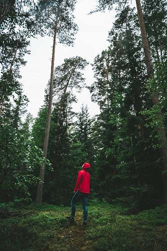 human man looking up surrounded by trees people