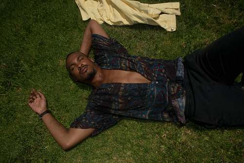 human man wearing blue button-up shirt lying on green grass people