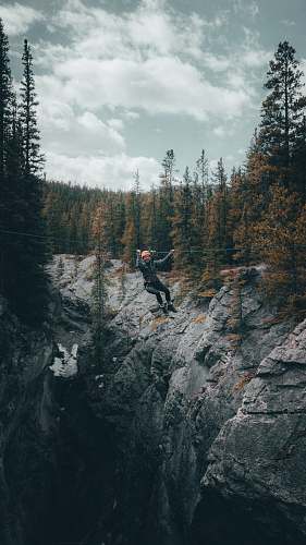 tree person climbing on rope bridge surrounded with tall and green trees under white cloudy skies plant