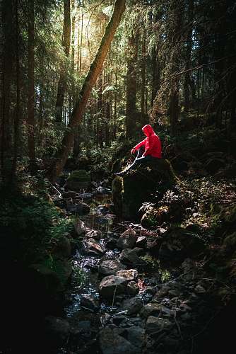 nature person sitting on rock creek